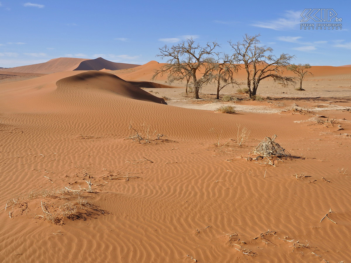 Namib In de Namib woestijn trokken we te voet langsheen de verschillende duinen en vleien zoals Hidden Vlei, Dead Vlei en Sossusvlei. Stefan Cruysberghs